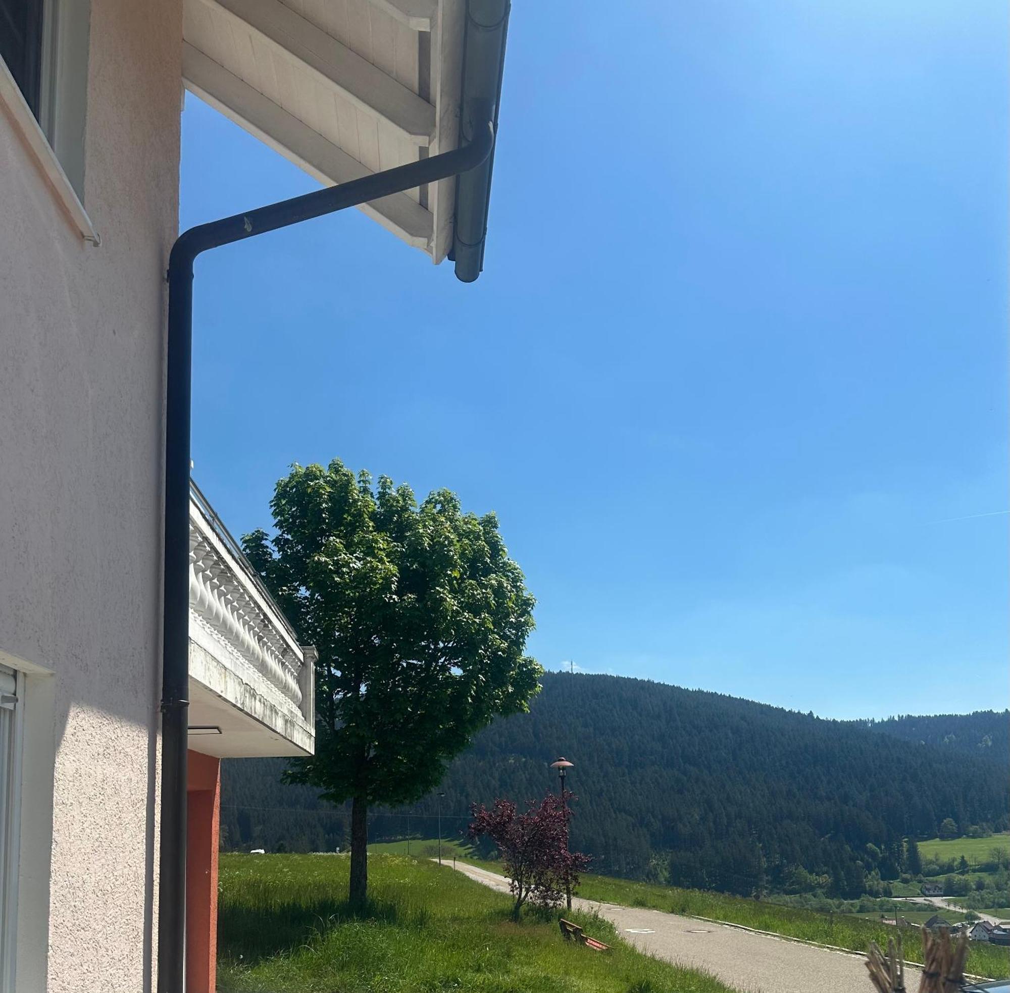 Natalie Apartment Baiersbronn Exterior foto